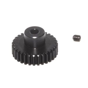 31T Pinion Gear 48dp - S10, 122231