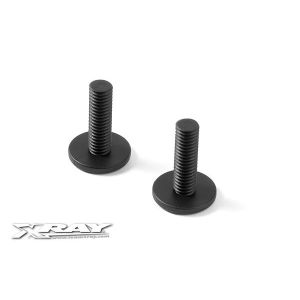 Composite Rear Body Holder Screw (2), X341360