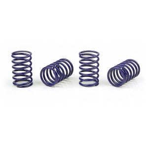 Xray Spring-Set D=1.7 (25 Lb) Dark-Blue (4), X308386