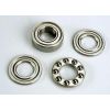 Thrust bearing assembly, TRX6069