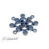 T3 2011 Set Of High-Speed Ball Bearings (20), X309001