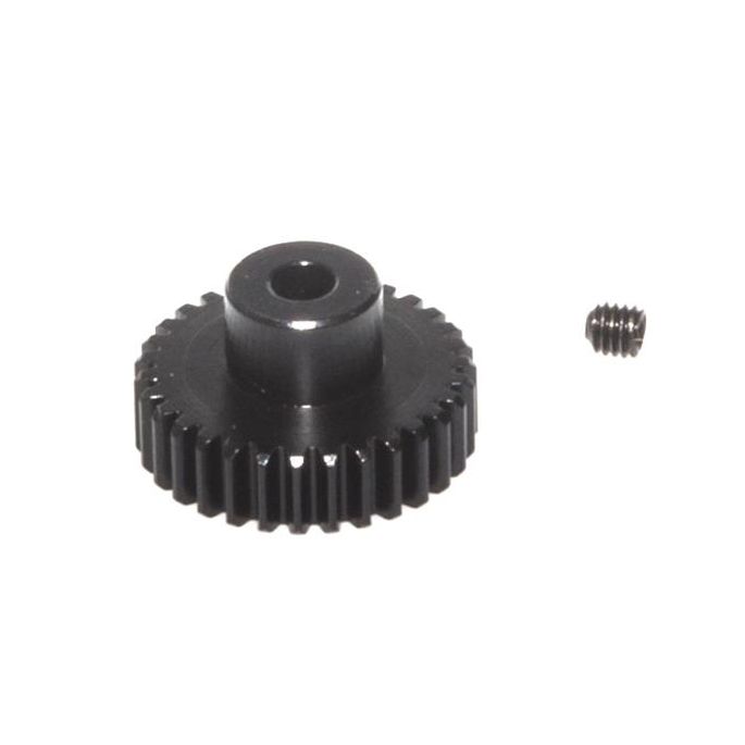 31T Pinion Gear 48dp - S10, 122231